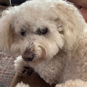 Meet your Posher, Richard